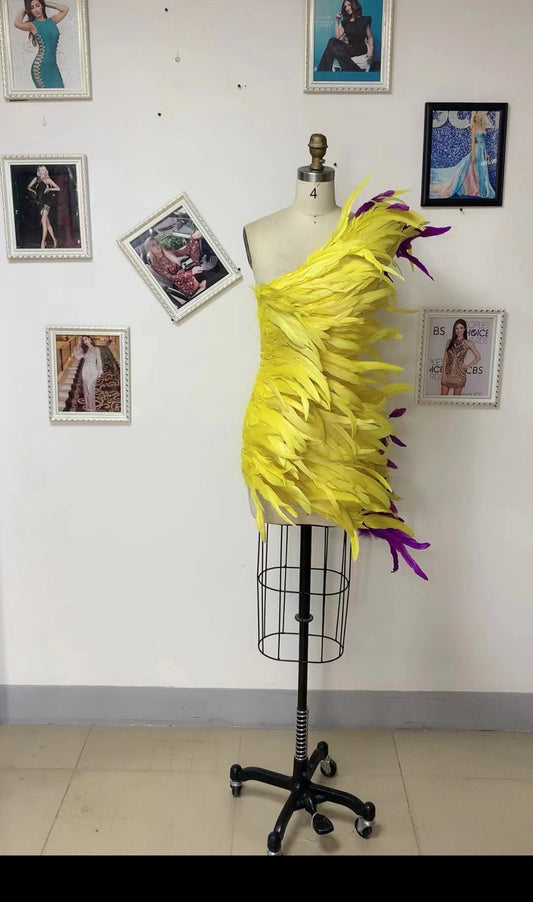 Sashana Feather Dress