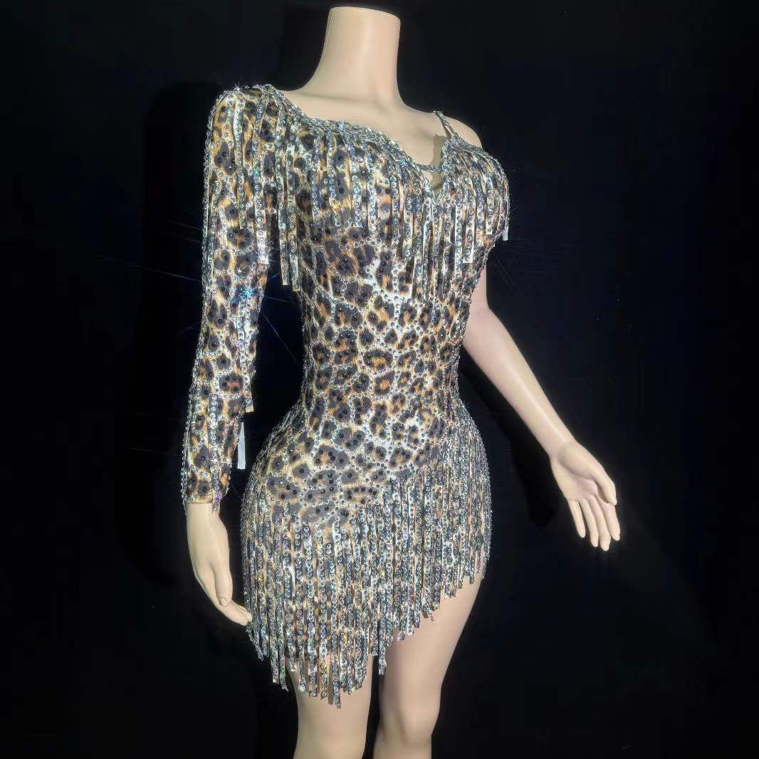 Latty Leaopard Dress