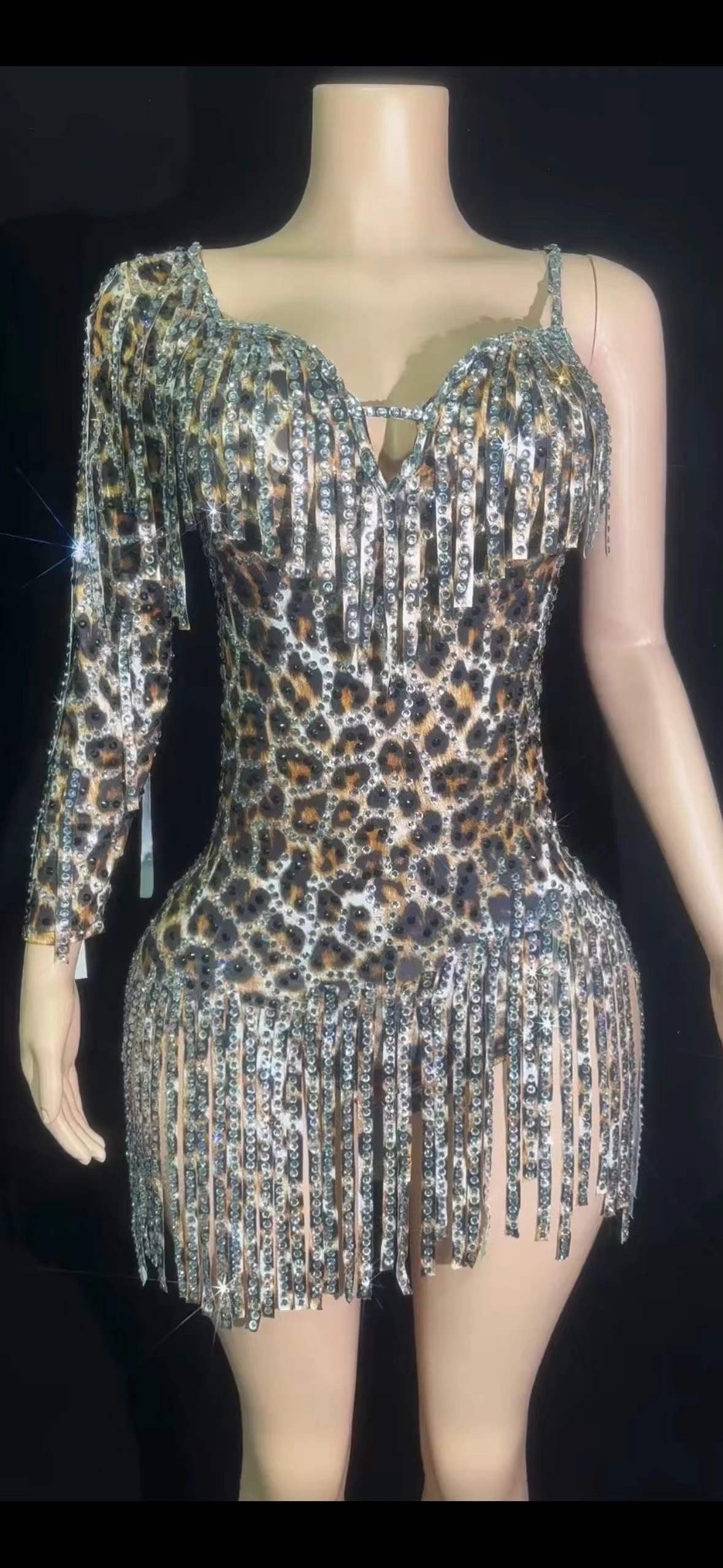 Latty Leaopard Dress