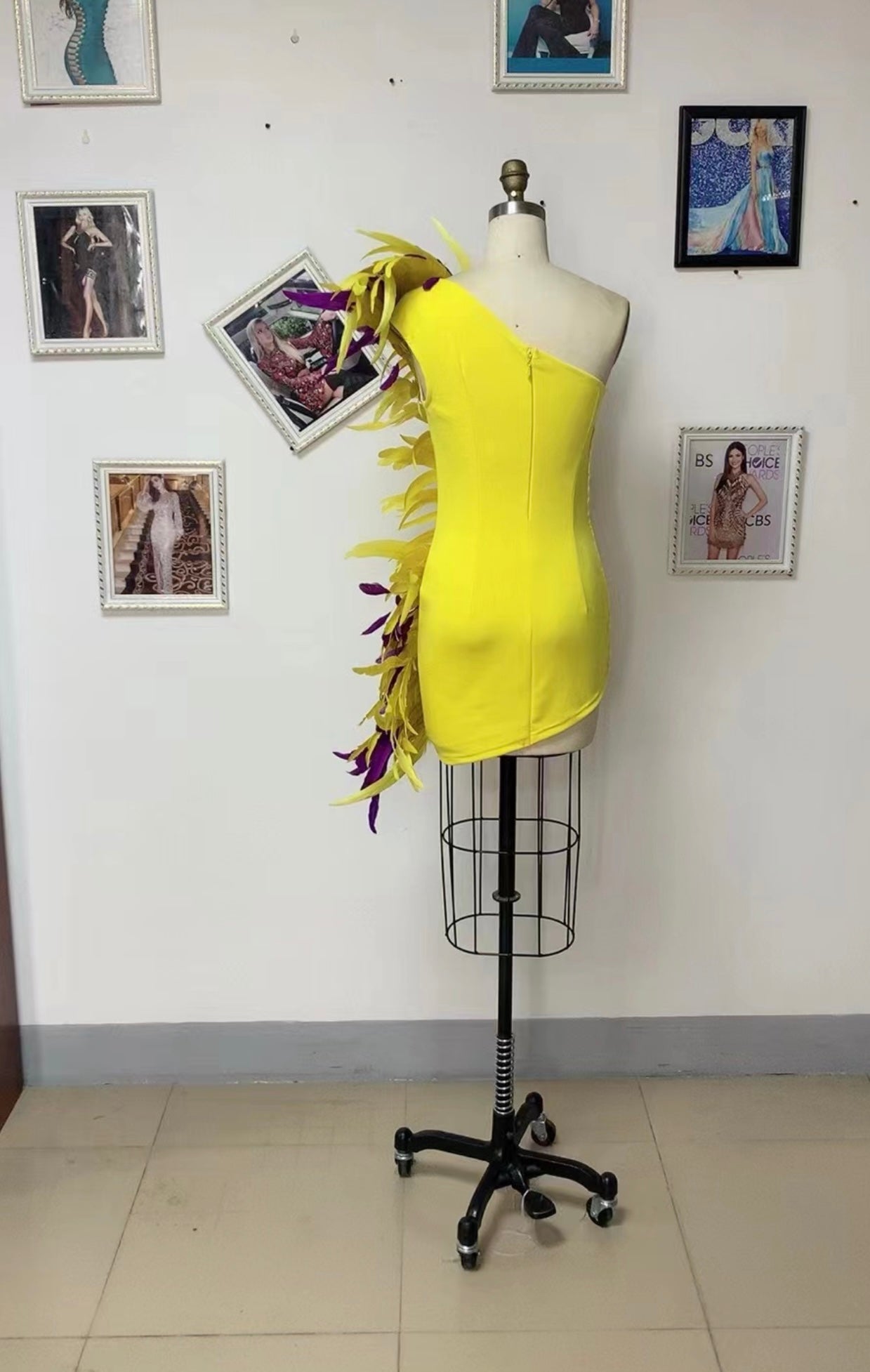 Sashana Feather Dress